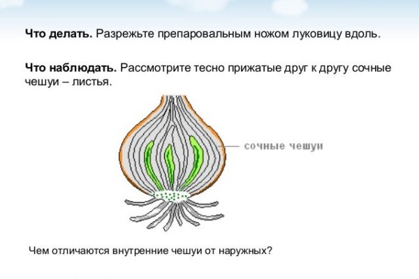 Скачать кракен тор