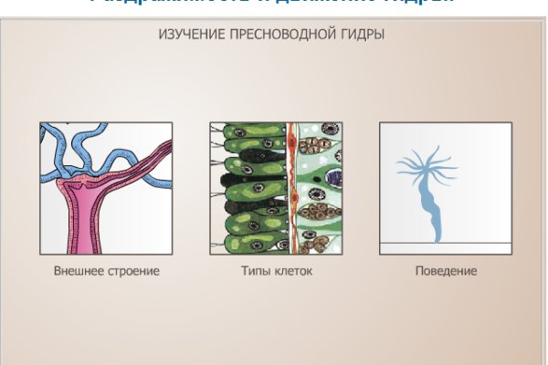 Kraken зеркало krakens13 at