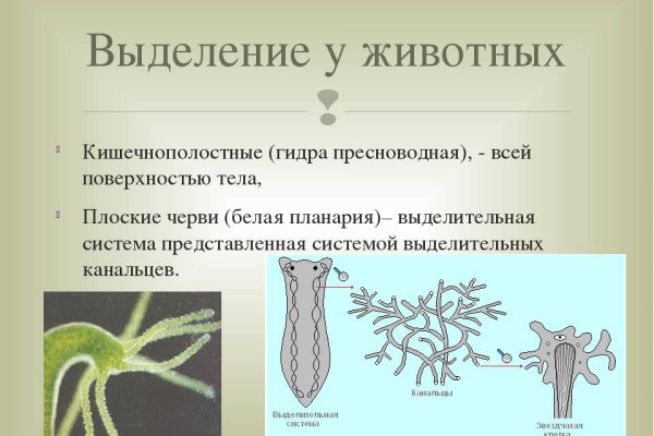 Что с кракеном сайт