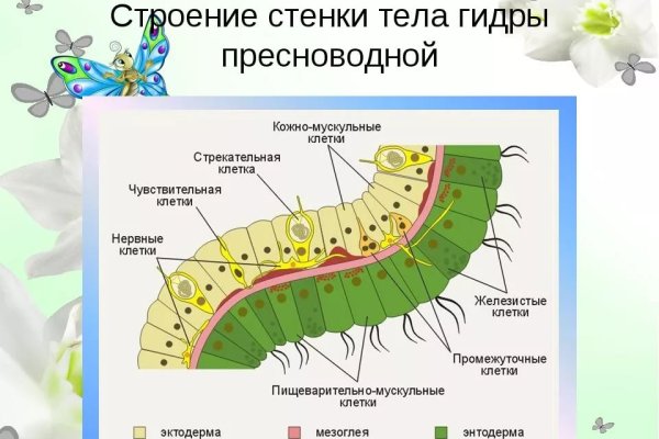 Кракен даркнет скачать