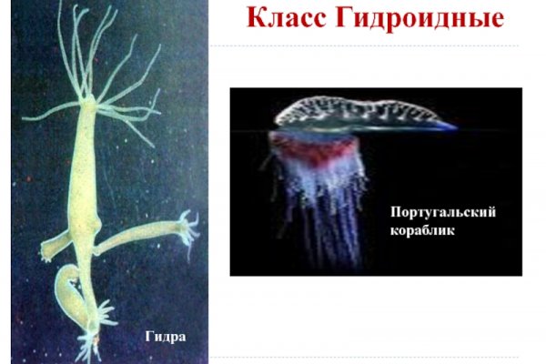 Кракен зайти