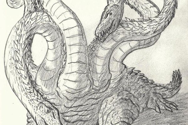 Kraken как найти ссылку