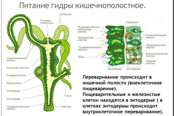 Нарко сайт кракен