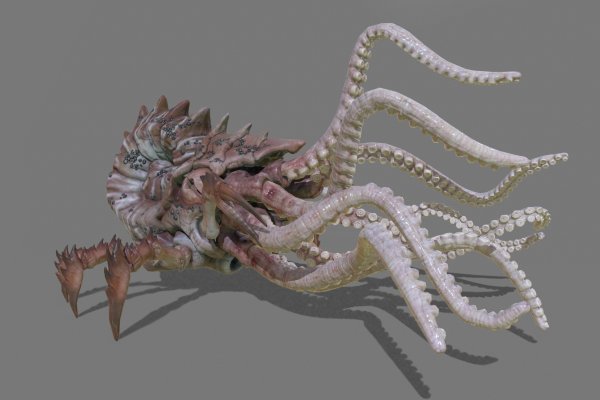 Kraken com darknet
