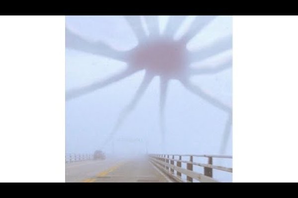 Ссылки зеркала на kraken