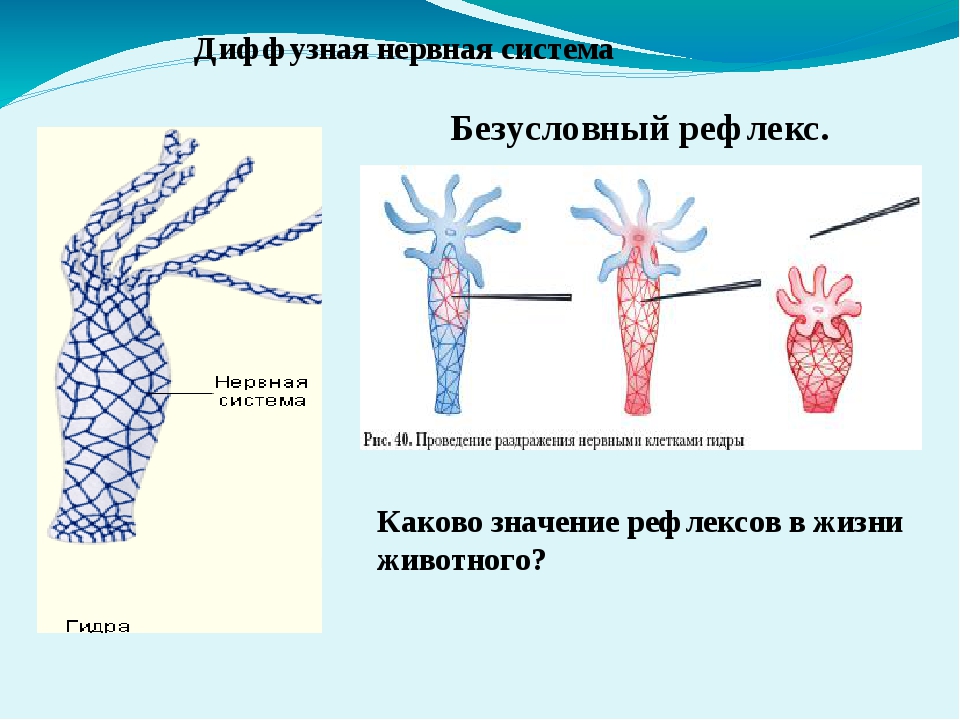 Ссылки на кракен at