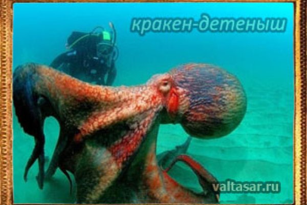 Кракен наркоторговля