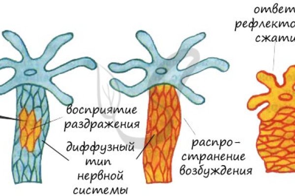 Hydra маркетплейс