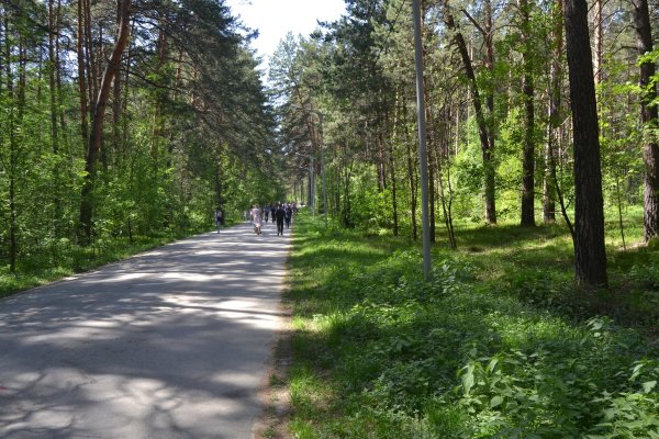 Кракен интернет площадка