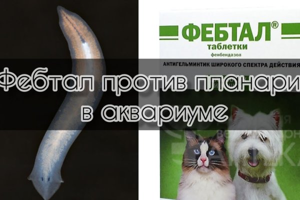 Кракен тг ссылка