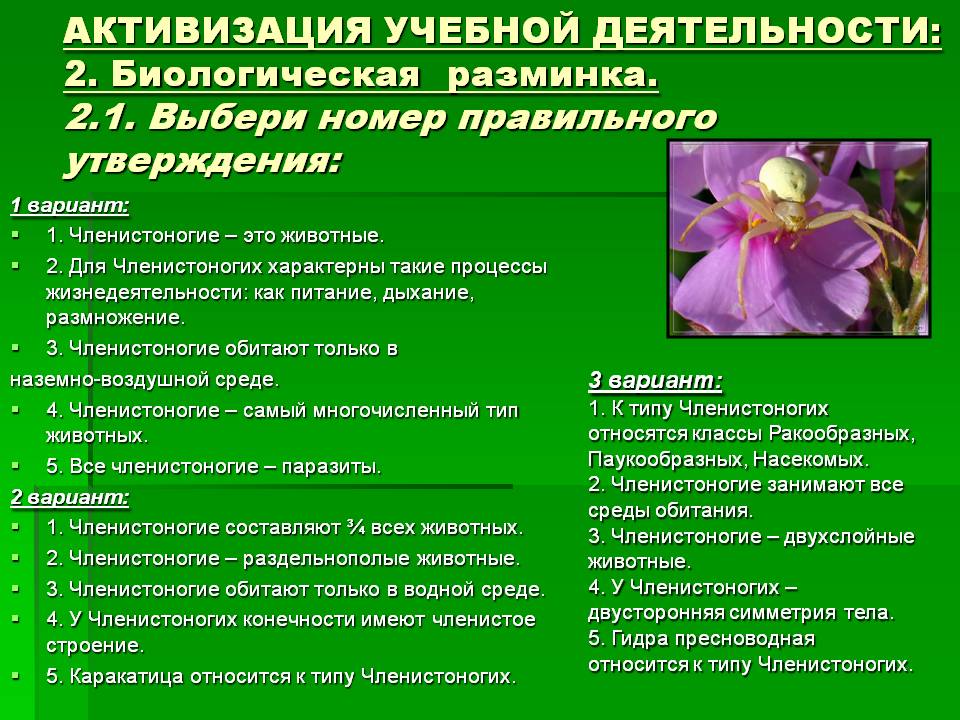 Кракен ссылка на тор официальная онион